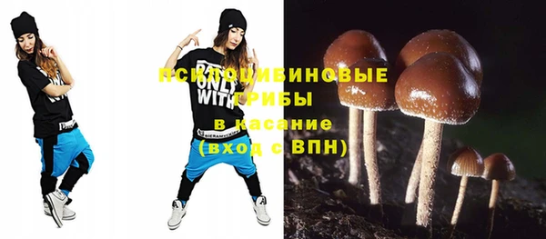 ешки Алексеевка