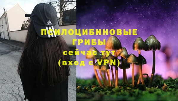 стафф Алексин