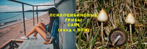 прущая мука Алзамай